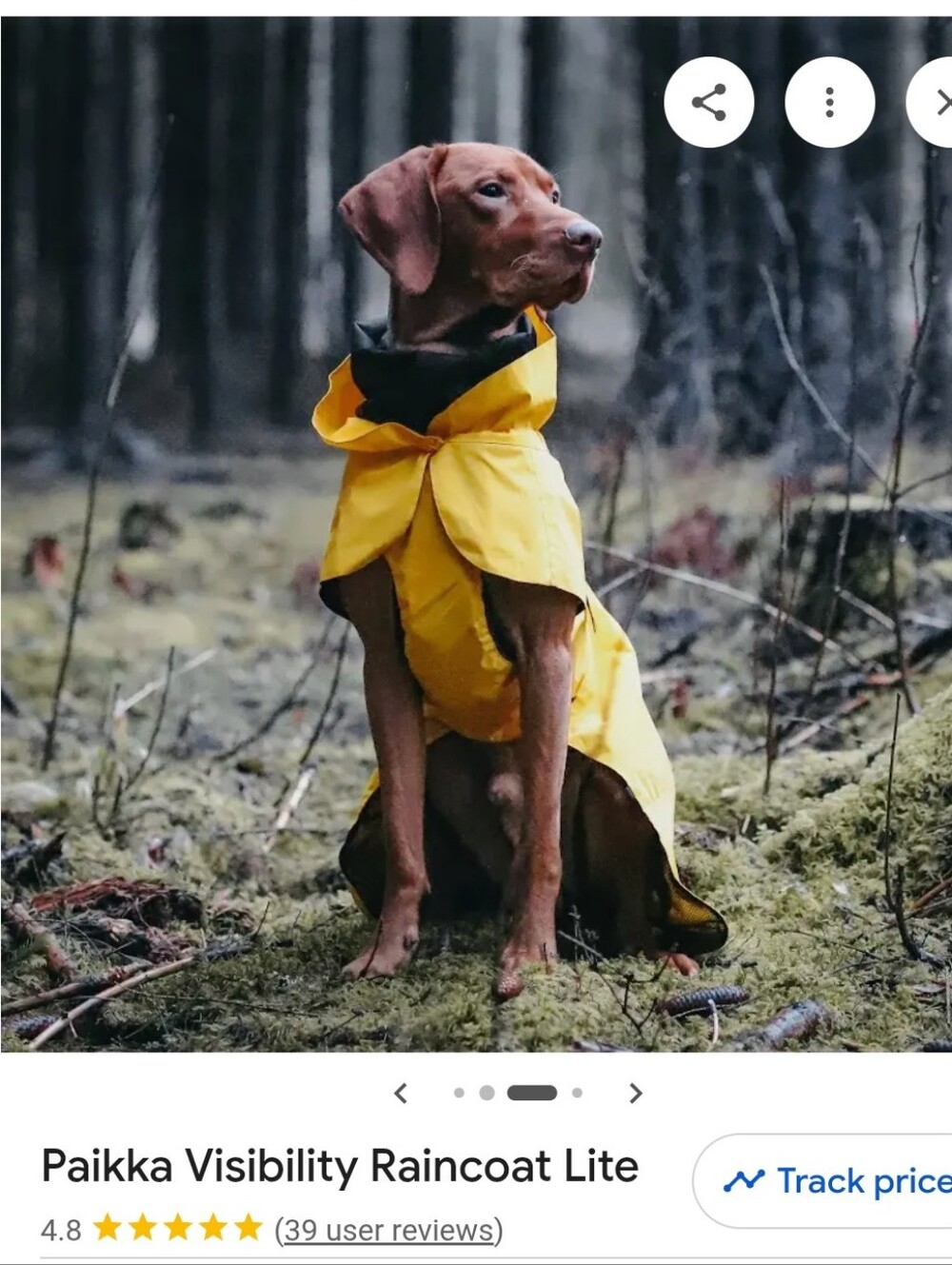 Paikka Raincoat Orange Dog Rain Jacket 55cm Large